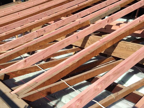 Excelsior Project - Lois Walker Roof Restructure